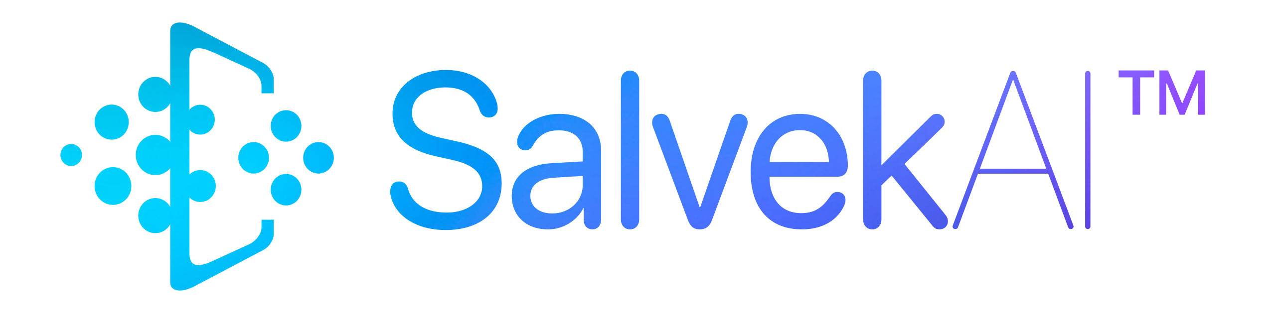 Salvek AI
