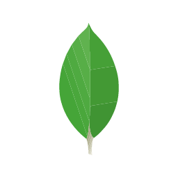 MongoDB